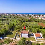 Marmelo