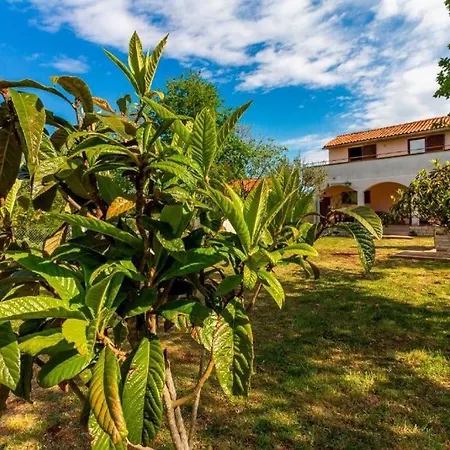 Holiday home Marmelo *